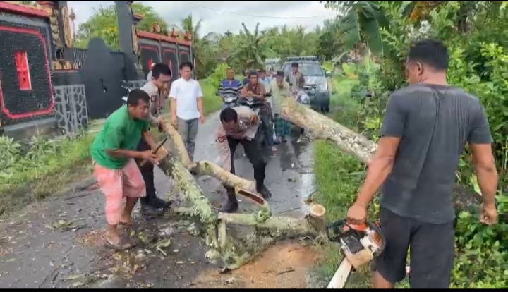 Polsek Pujut Evakuasi Pohon Tumbang di Jalan Raya Segale Anyar