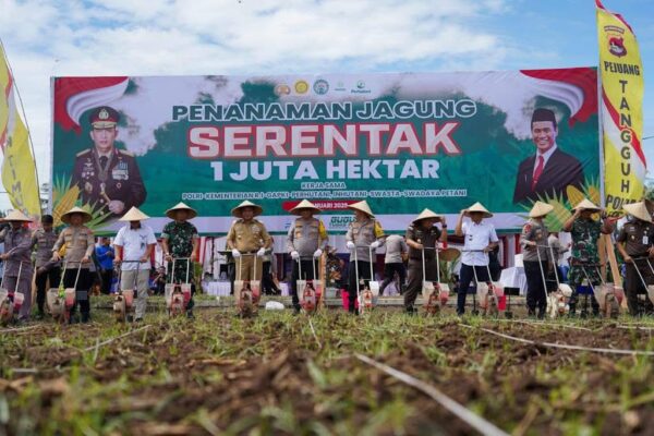 Dukung Swasembada Pangan Nasional, Pemprov NTB Bersama Polda NTB dan Kementan RI Tanam Jagung di Lombok Timur