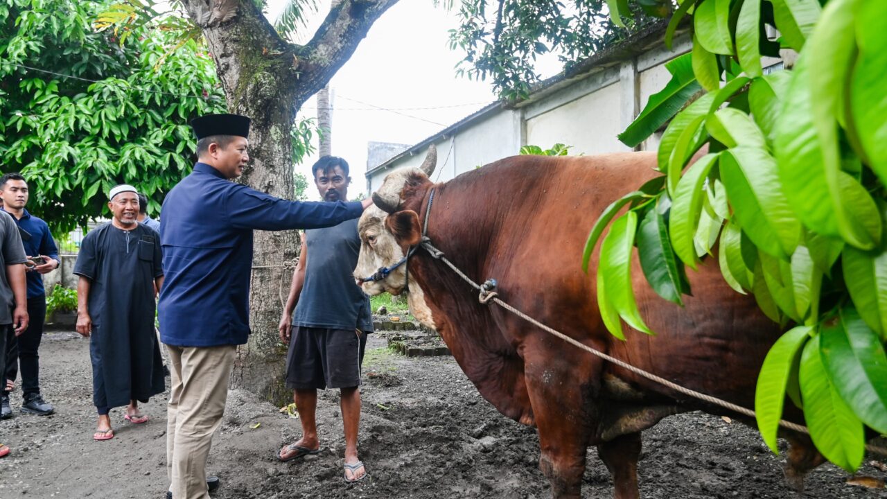 Hari Kedua Iduladha, Gubernur NTB Serahkan Hewan Kurban Presiden dan Bagikan Sembako