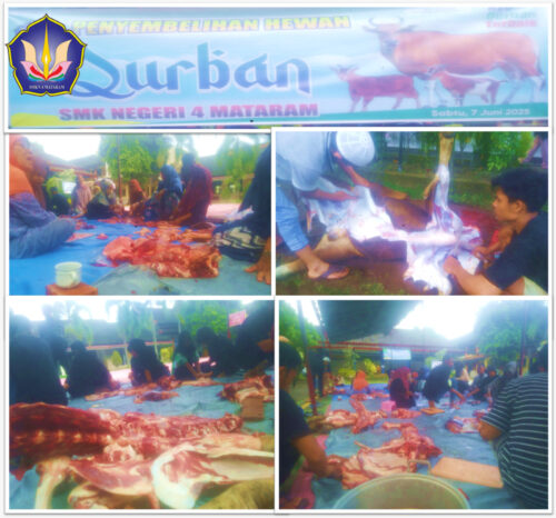 SMKN 4 Mataram Sembelih 3 Sapi dan 3 Kambing, Idul Adha Berbagi