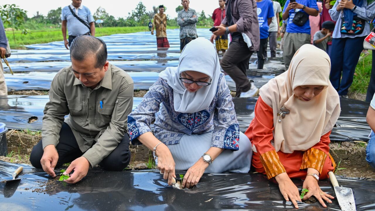 Gubernur NTB Dorong Disabilitas Berbicara Lewat Karya