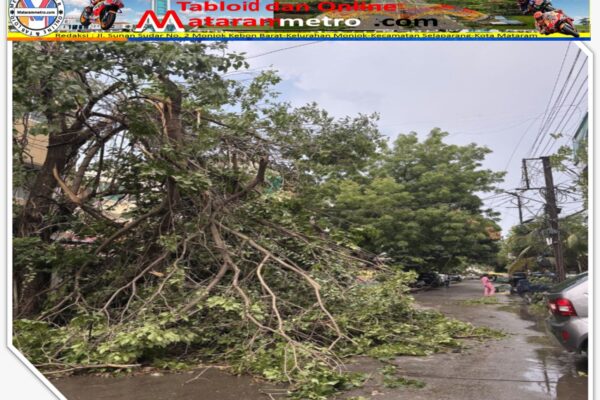 Pemprov NTB Siaga Cuaca Ekstrem, BPBD Pimpin Komando Terpadu