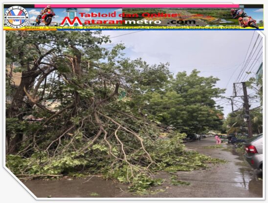 Pemprov NTB Siaga Cuaca Ekstrem, BPBD Pimpin Komando Terpadu