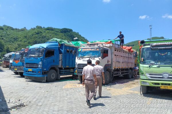 Pemprov NTB Tegaskan Pengiriman Ternak 2026 Lebih Tertata