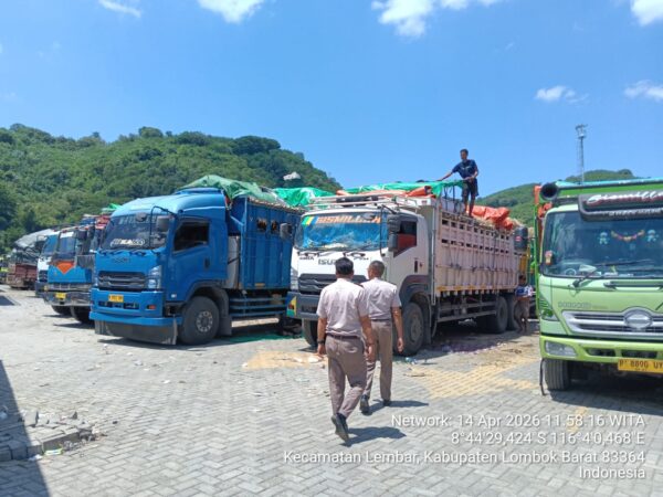 Pemprov NTB Tegaskan Pengiriman Ternak 2026 Lebih Tertata