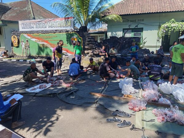 Idul Adha 1447 H/ 2026 M, Kodim 1606 Mataram Qurban 3 Ekor Sapi Untuk Rakyat