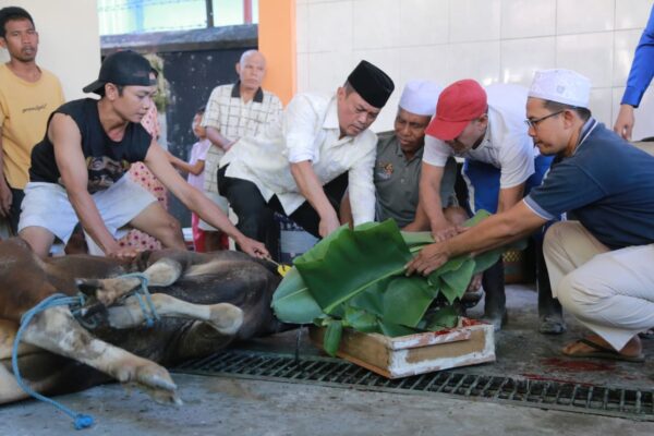 Polda NTB Sembelih Ratusan Hewan Kurban, Daging Dibagikan Kepada Masyarakat Penerima Manfaat