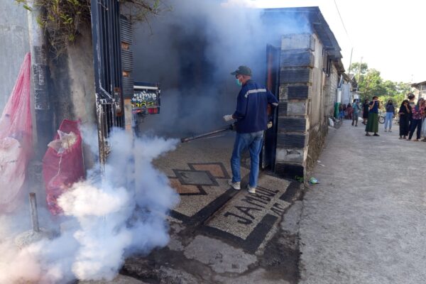 Sembung Berasap,Pasukan Fogging Dikes Lobar Turun Tangan