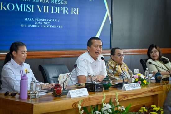 Dari Hilirisasi hingga Gili Tramena, Gubernur NTB dan Komisi VII Perkuat Transformasi Ekonomi NTB
